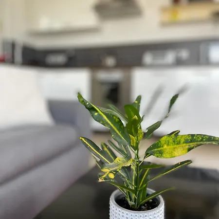 Penthouse Steps From Stunning Balluta Bay Appartement *